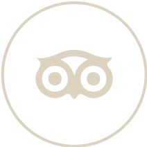 TripAdvisor